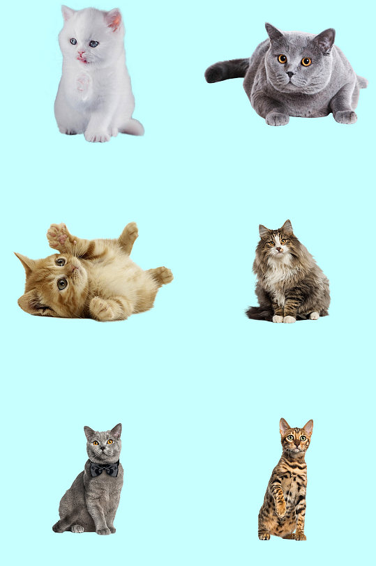 隐猫素材网高清资源免费下载，优质设计素材，创意灵感必备
