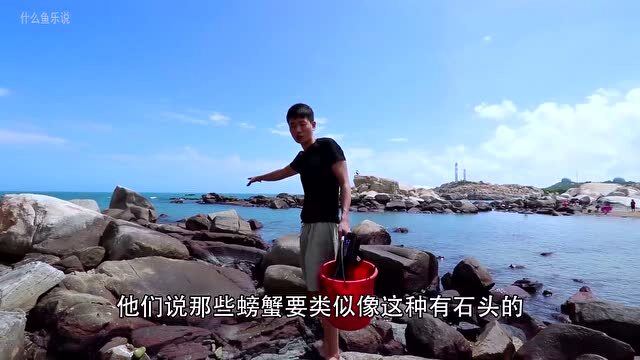 梦见在海边捡万浜免费高清视频在线观看，一个人看的治愈系海边梦境，探索神秘海滩宝藏
