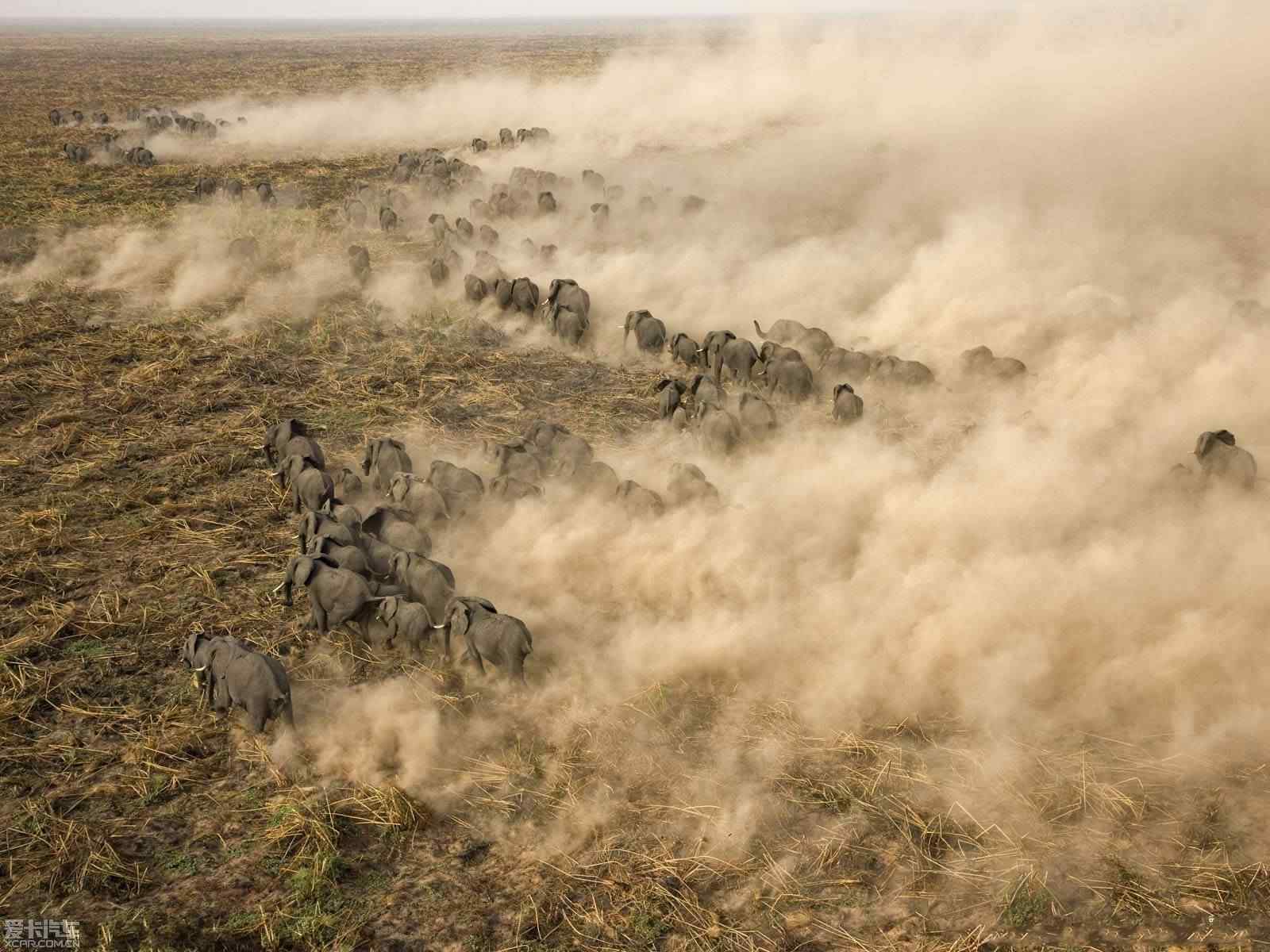 日本多毛写真魅力尽显,探索独特美感,展现自然野性风情 日本多毛写真魅力尽显,探索独特美感,展现自然野性风情