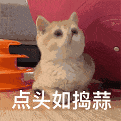 2.若依口舌视频vk上线，独家花絮曝光，速来围观最新动态