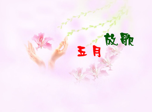 五月