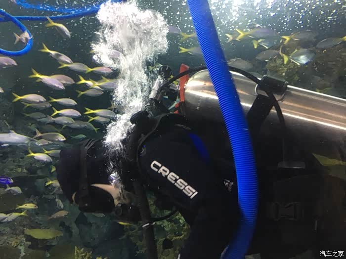 海鸣馆传奇故事，探索海洋奥秘，揭秘神秘建筑