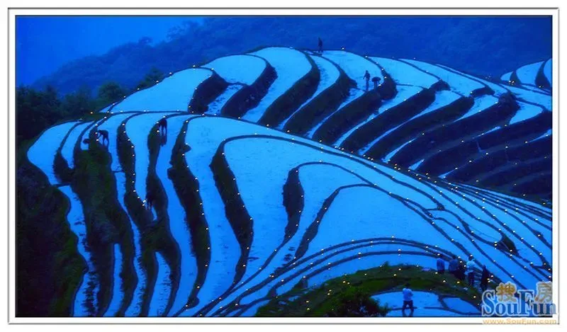 爱丝的秘密花园绽放浪漫与奇迹，温柔如诗，梦幻如画