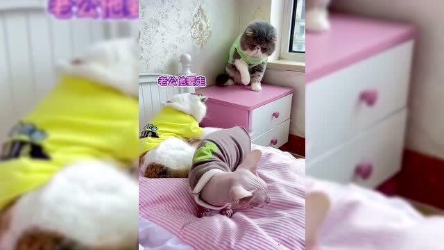 性感少妇推油半推半就视频,按摩师巧妙挑逗,欲拒还迎瞬间引爆欲望 性感少妇推油半推半就视频,按摩师巧妙挑逗,欲拒还迎瞬间引爆欲望