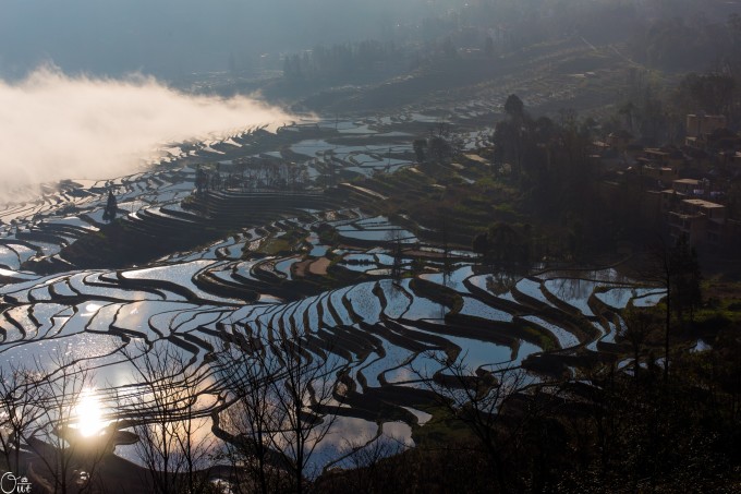 美国免费黄区探索指南，发现最佳地点，享受独特体验