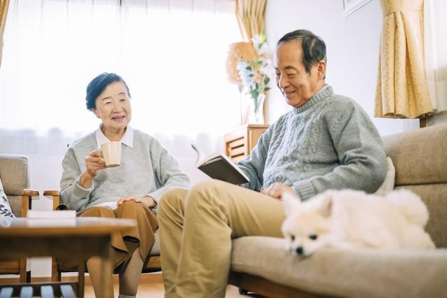 老头日老妇的晚年生活充满温情与陪伴，岁月静好，幸福相依