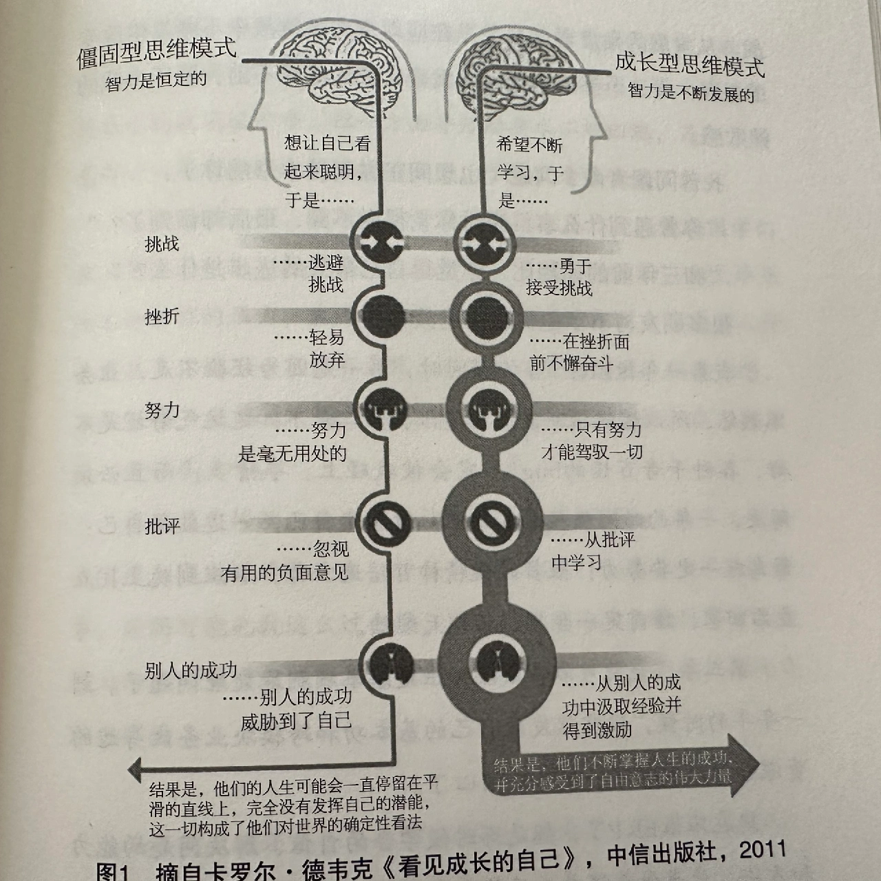 女人情感世界的微妙变化与深层探索，揭秘内心真实渴望，发现自我成长之路