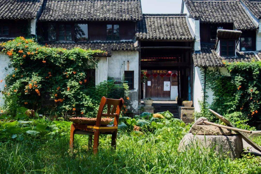 伊人秋色醉人心，金黄落叶映晚霞，诗意季节如画般美丽
