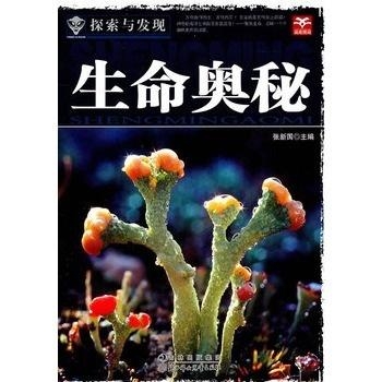 2.动物交视频，自然奇观，生命繁衍的奥秘与震撼瞬间