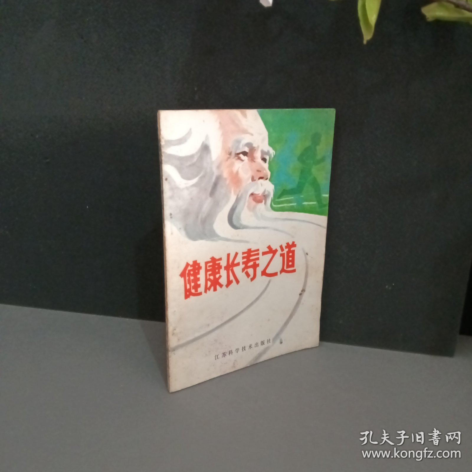 老荫道BBBBB老太婆养生秘诀，传统智慧，现代生活，健康长寿之道