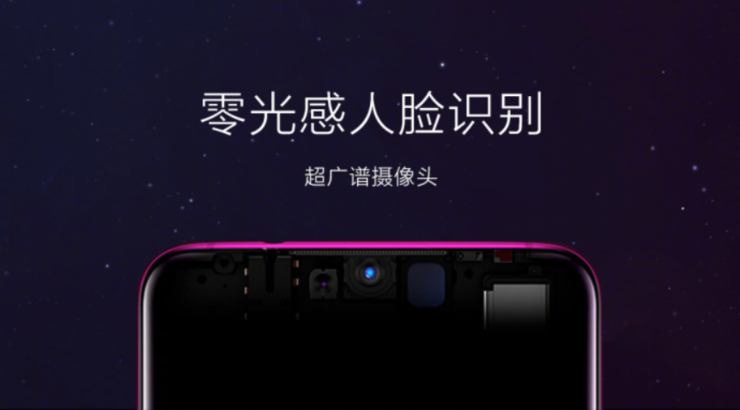 狡猾鱼鱼的秘密生活，探索水下世界，发现隐藏智慧
