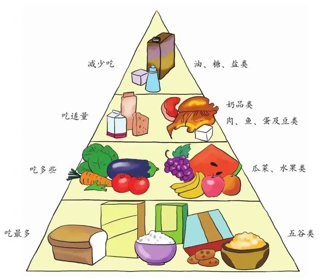 中国肥胖太太浜健康危机，减重挑战迫在眉睫，家庭饮食需警惕