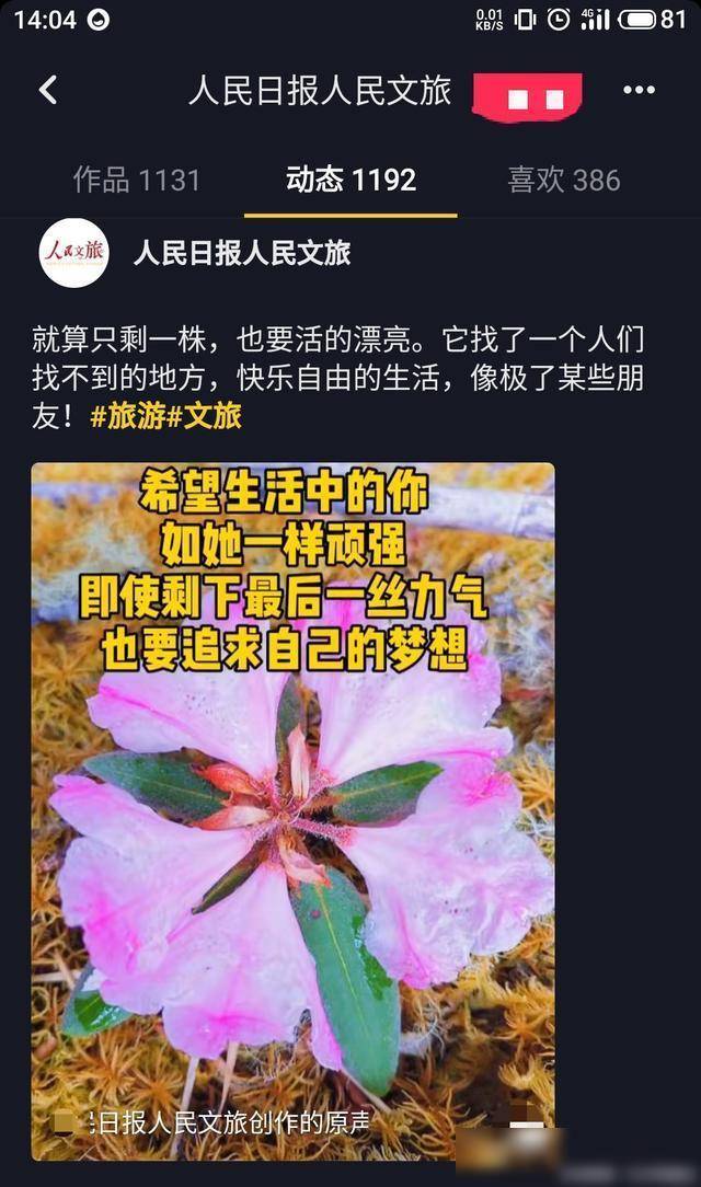 2.农村小处破女初，坚韧成长，逆风翻盘，绽放新生光芒