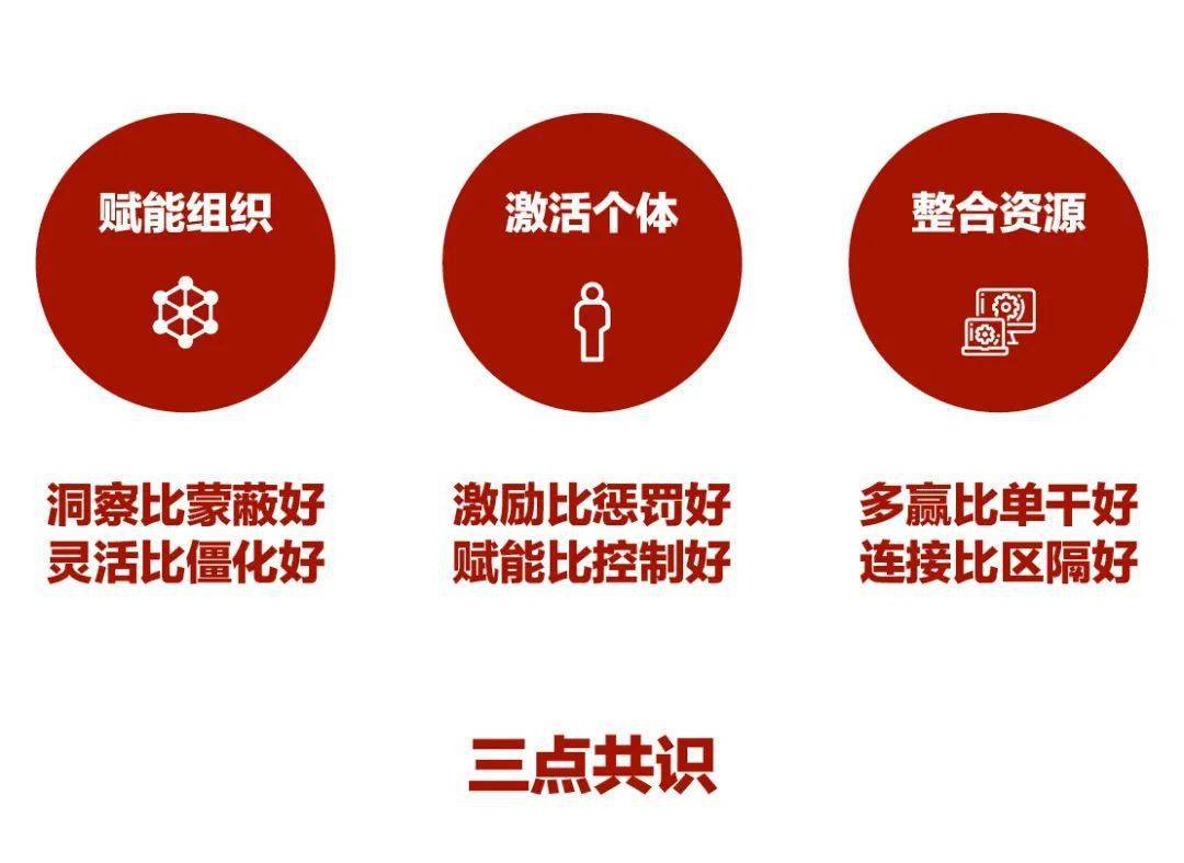 1.nxgxxxxxx 助力高效工作与创新突破