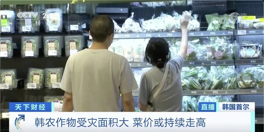 400部精品国偷自产在线观看，高清资源免费下载，最新国产影视一网打尽
