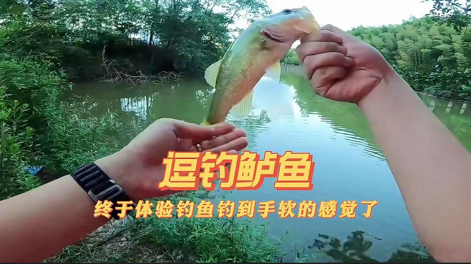 大精鱼网页版1网页版二浜优选海钓装备，畅享垂钓乐趣，轻松捕获大鱼