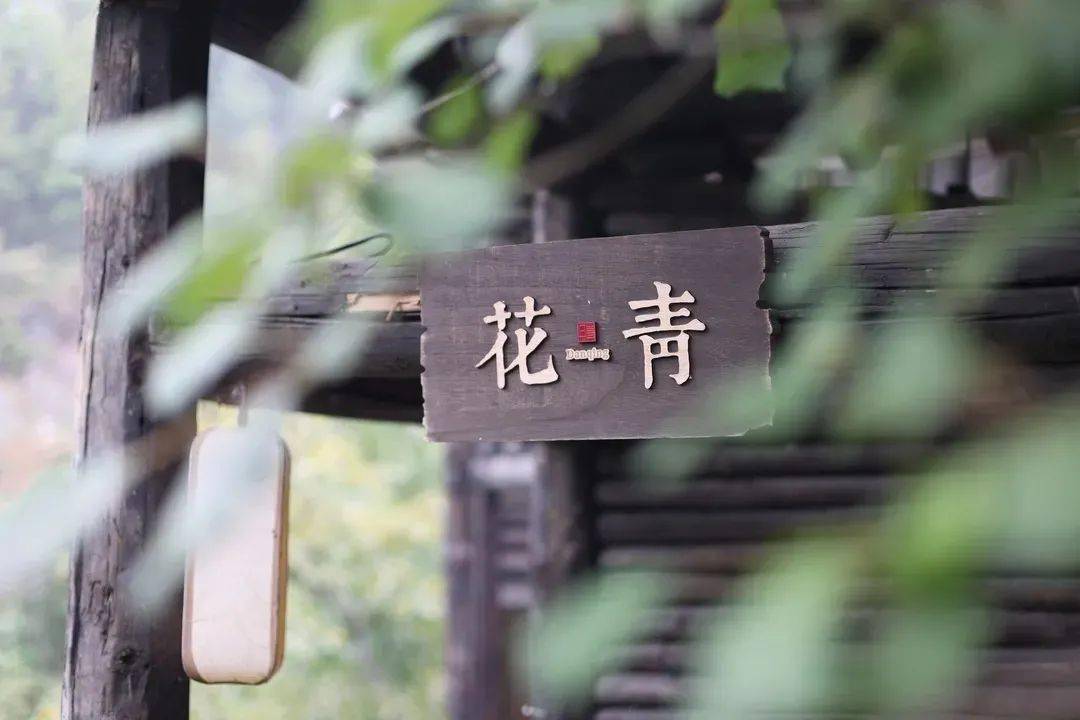 古装A级毛片浜惊艳上线，唯美场景扣人心弦，剧情跌宕引人入胜