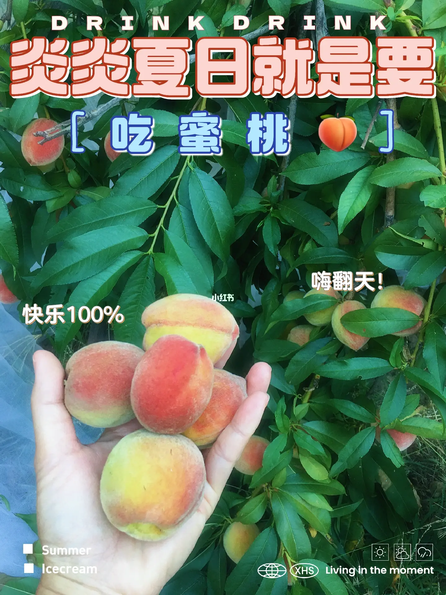 亚洲青草久久蜜桃天堂绽放自然之美，探索隐秘仙境，感受清新与甜蜜的完美交融