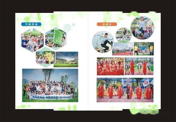 久久久久久久久久久久久久9999的传奇故事，探索其背后的秘密，揭秘长久不衰的真相