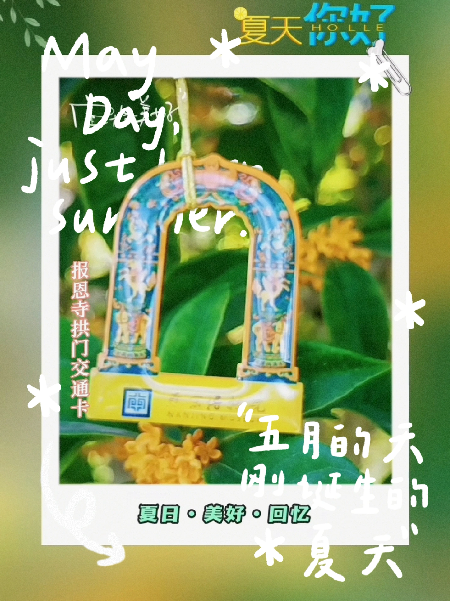 五月六月婷婷字幕绽放夏日精彩，清新风格，动人故事