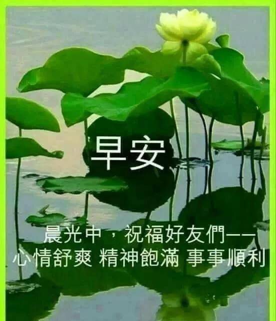 免费青青久久温情相伴岁月静好,幸福时光悠长,美好回忆永存心间