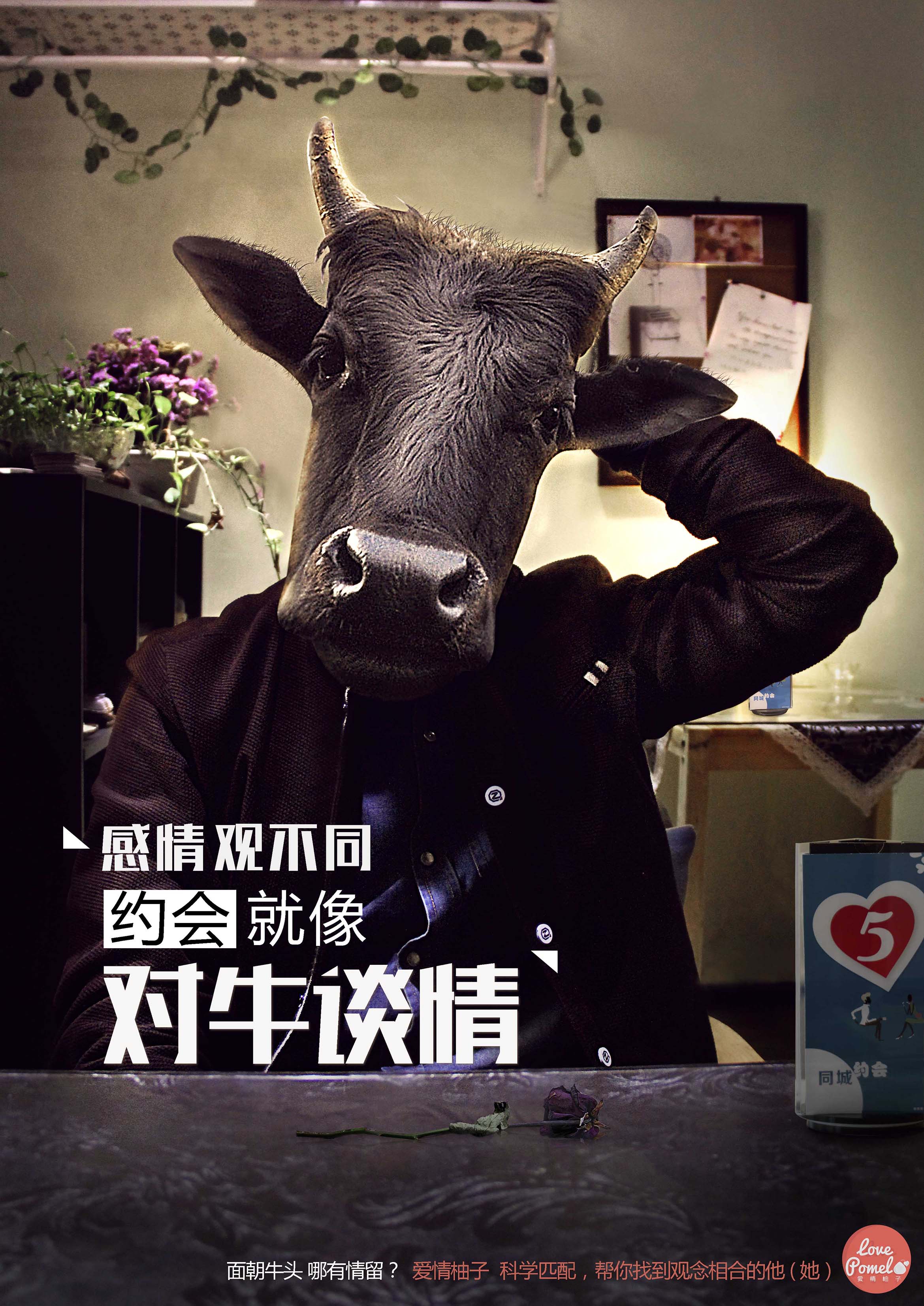 牛牛同性情感故事，探索真挚友情与爱情，温暖心灵的独特旅程