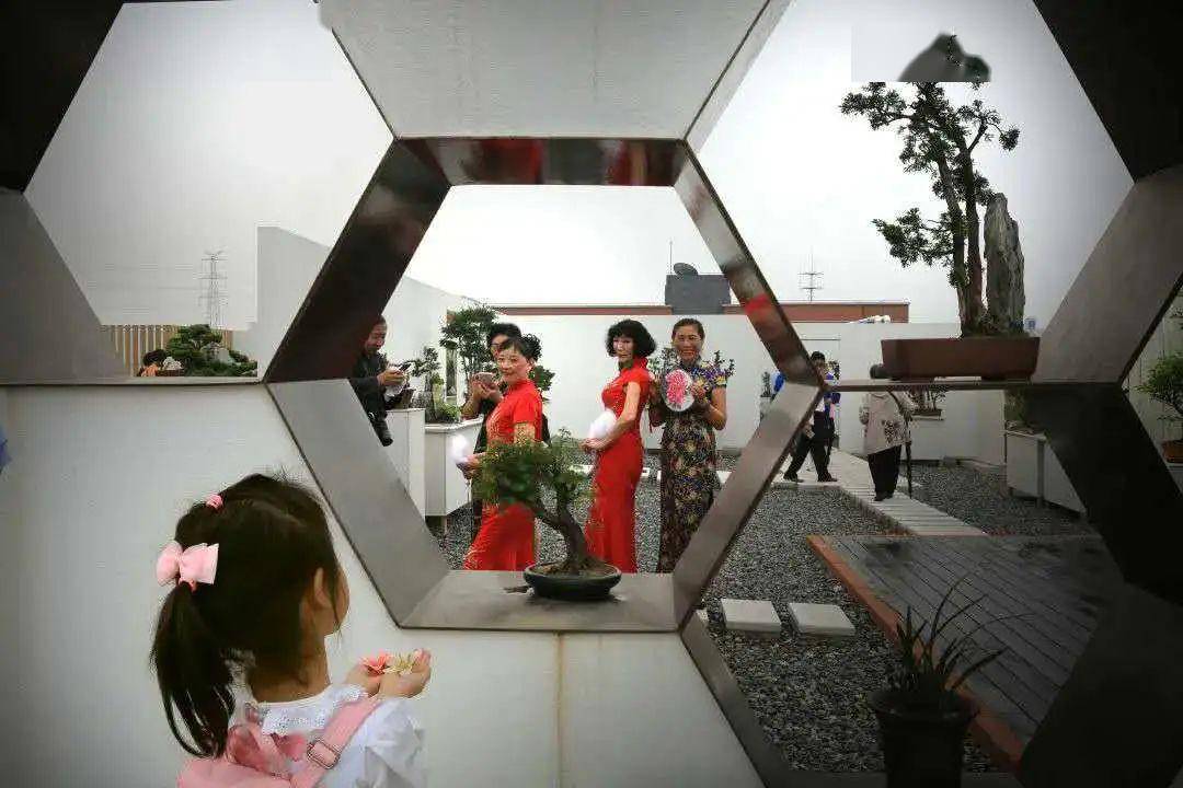 黑人干肥婆的独特魅力，探索多元审美文化，揭秘背后社会现象与情感故事