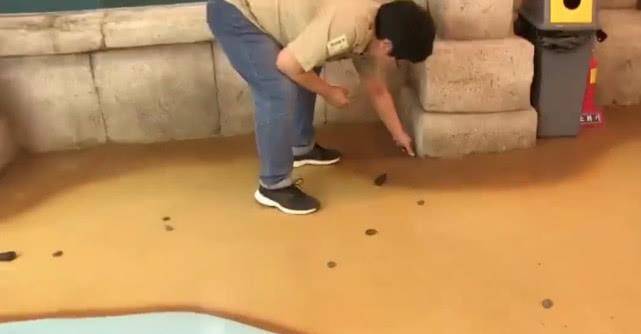 撸撸干撸撸草养护技巧，轻松打理庭院，打造绿色舒适空间