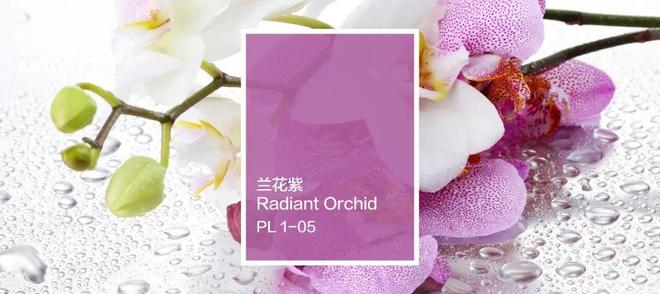 亚洲情趣撩动心弦风情尽显雅致，魅力东方韵味，浪漫情调绽放