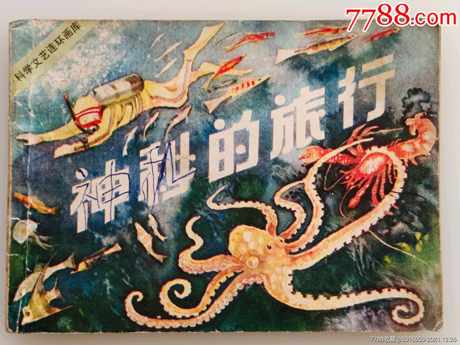 乌克兰森林少女2的奇幻冒险,神秘旅程,勇气与希望的故事 乌克兰森林少女2的奇幻冒险,神秘旅程,勇气与希望的故事