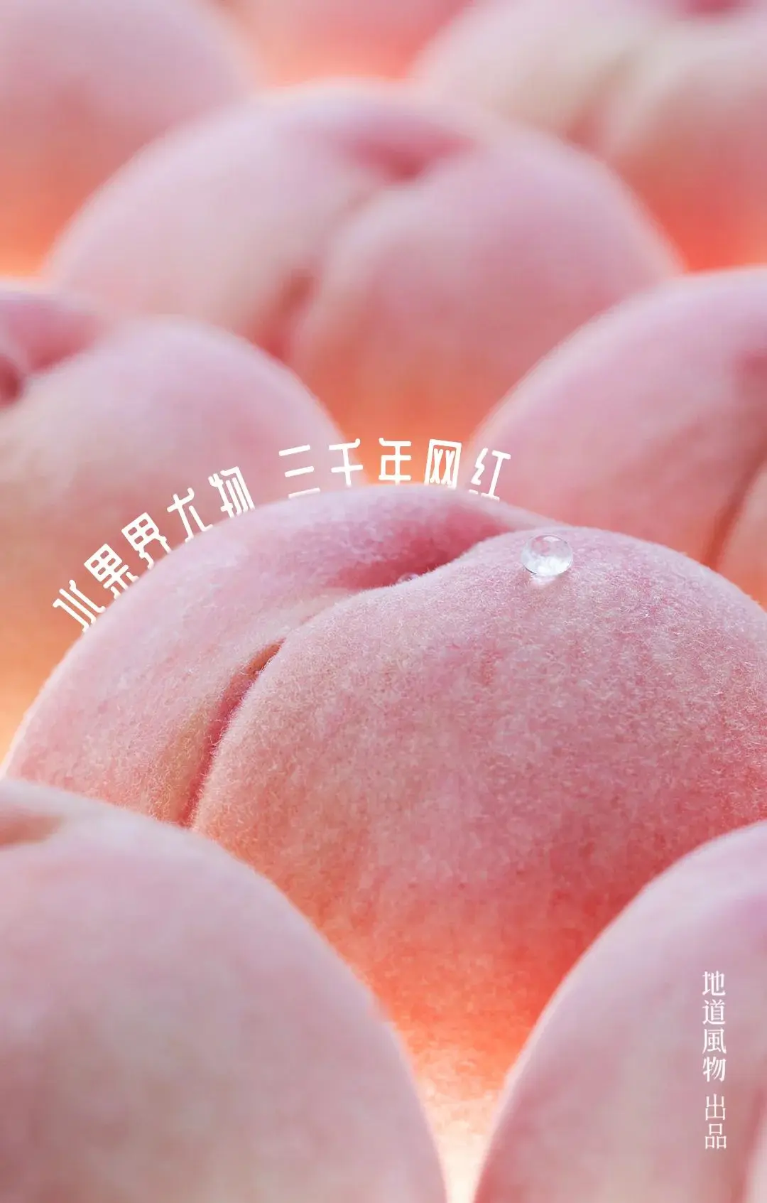 2.色欲av永久无码精品无码蜜桃，极致诱惑，高清无码，独家精品蜜桃盛宴