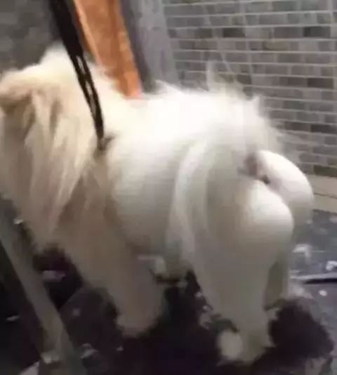毛茸茸的屁毛洗澡偷拍浜引发热议，网友热议隐私安全，如何防范偷拍行为