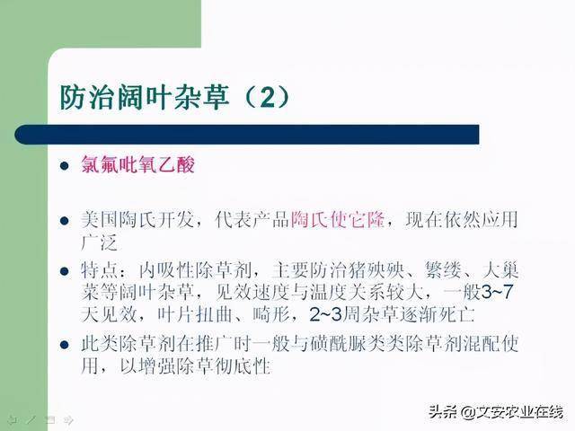 清草成人网推荐优质内容，探索成人世界，发现隐秘乐趣