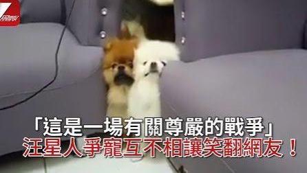 2.小李琳激情大尺度视频曝光，网友疯狂转发，争议不断升温