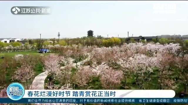 嫩草映园春意盎然，绿意葱茏，花香四溢醉人心