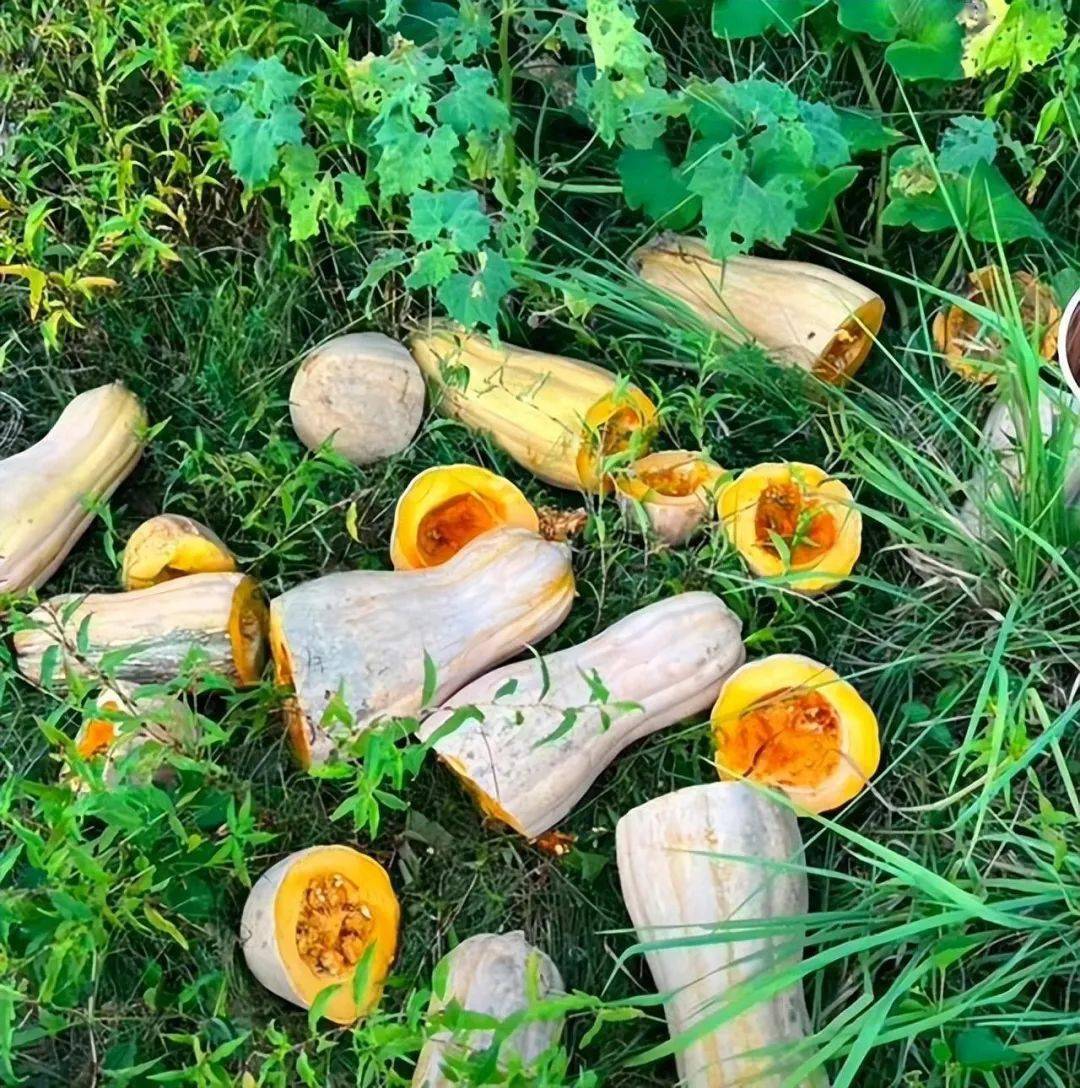 网爆黄色大瓜引发热议，网友热议真相，当事人紧急回应