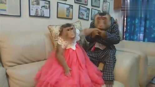 两人生猴子视频免费观看逗逗两人生猴子搞笑视频免费看逗完整版逗高清无码