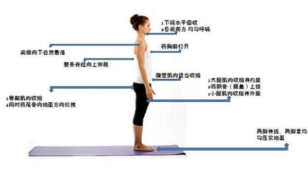 性生肥胖zoo性wwww性生引发的健康危机，如何科学减重，避免代谢疾病，重塑健康体态