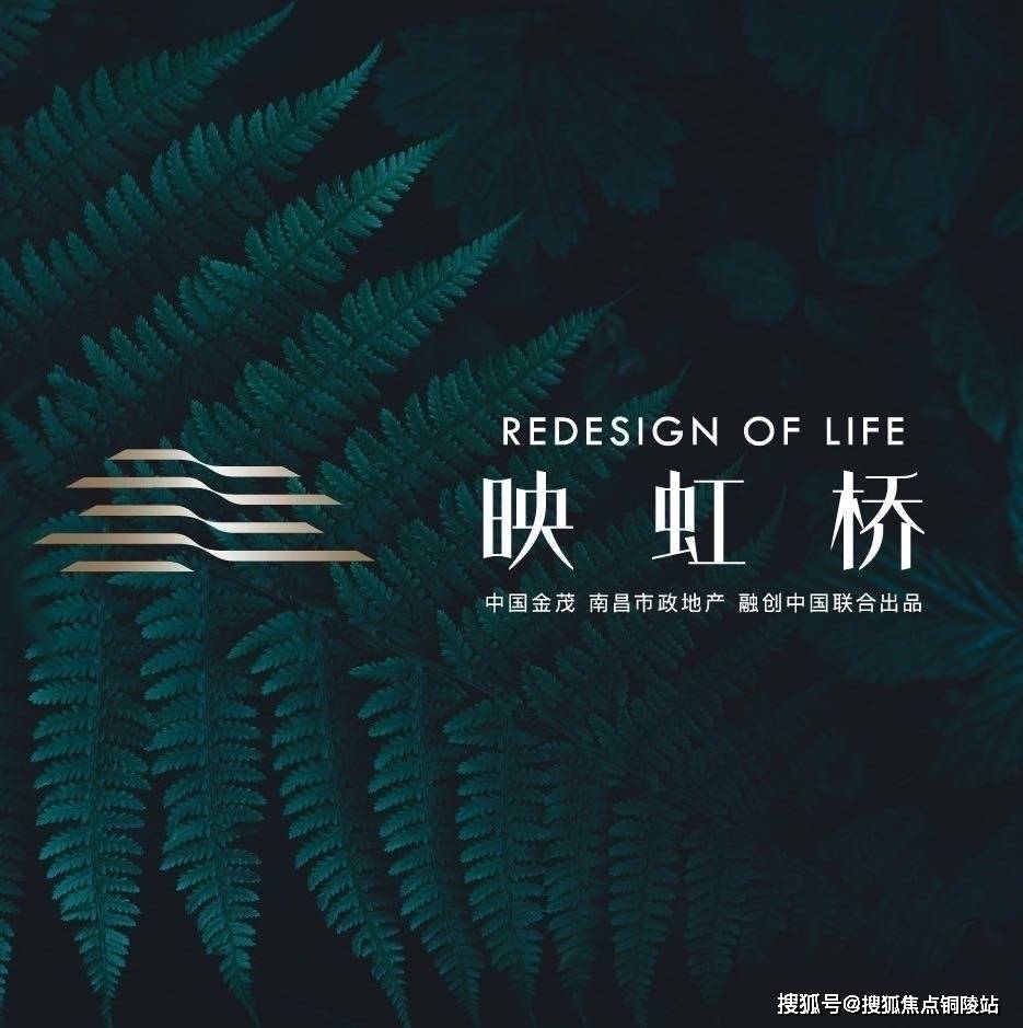 学生處女真实视频浜揭露校园隐秘现象，青春纪实引发热议，真相震撼人心