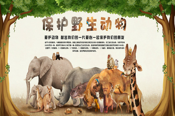 欧美人与狗激情交配引发热议，探讨伦理界限，关注动物权益保护