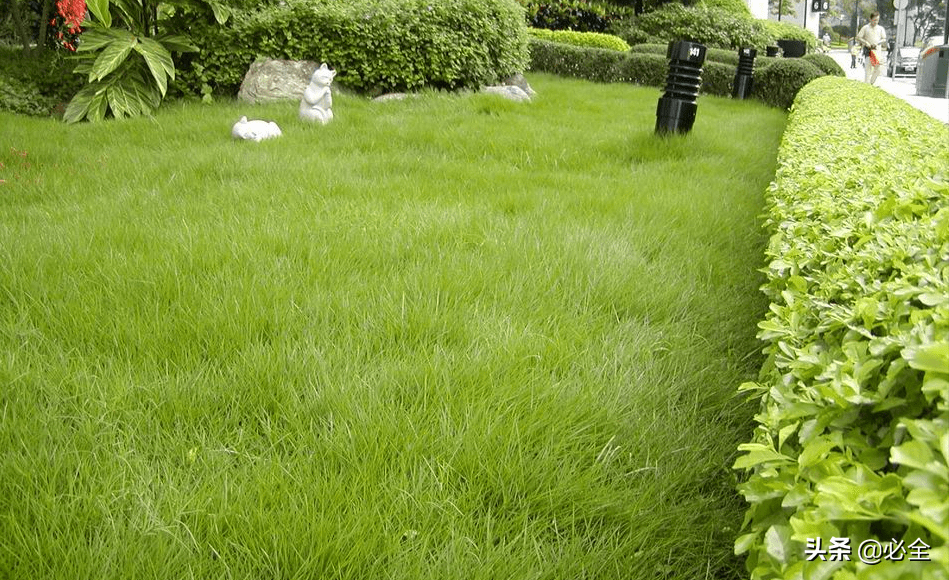 这里都是精品草打造独特生活，精选优质好物，享受自然与品质的完美融合