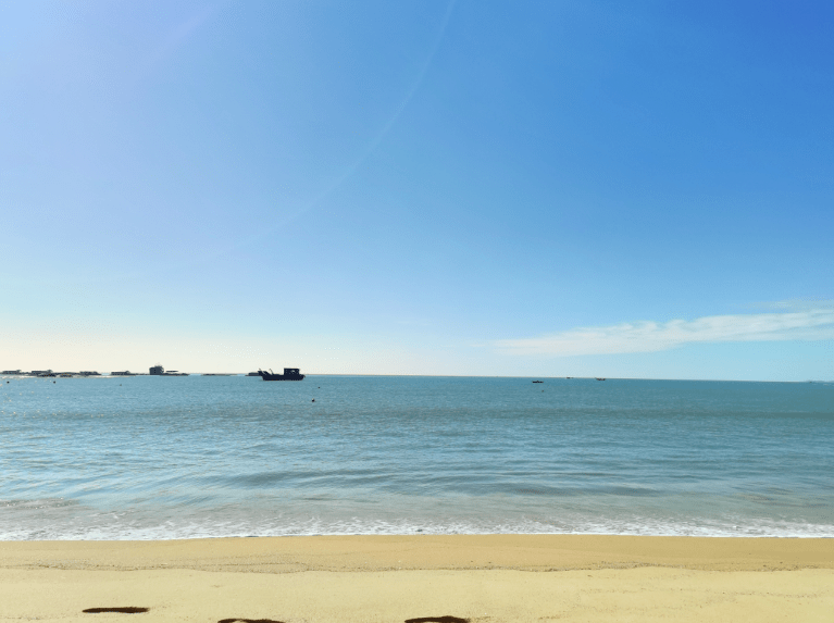 日本xxnxx浜风情探秘，漫步海岸线，感受独特文化与自然美景