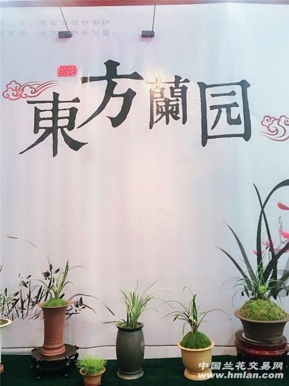 茶茶一lvk浜带你探索独特茶文化，品味生活，发现自然之美