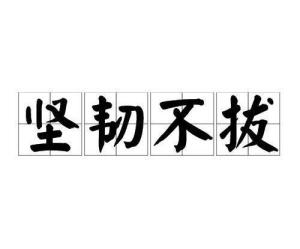 大黑人传奇故事 坚韧不拔 奋斗不息 成就非凡人生