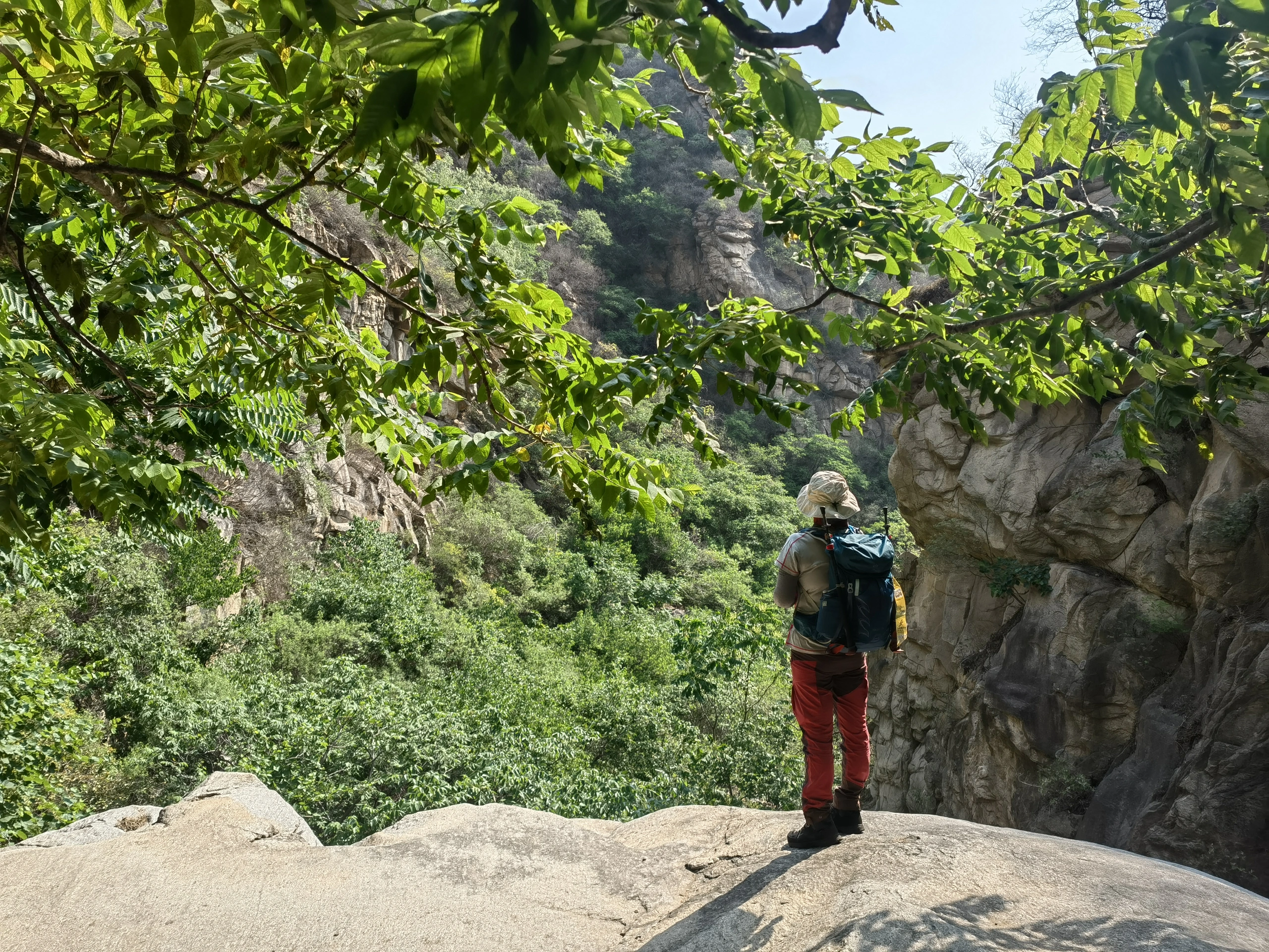 四季AV带你领略春夏秋冬不同风情，感受自然魅力，探索季节变换之美