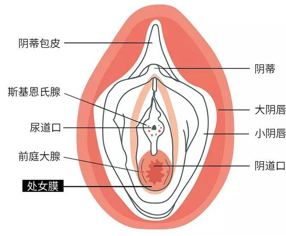 免费处女在线破免费处女在线破处女免费破在线观看