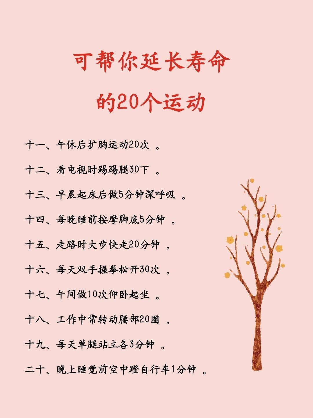 优质tk脚底板保养上油刷子使用技巧，提升性能，延长寿命，轻松掌握