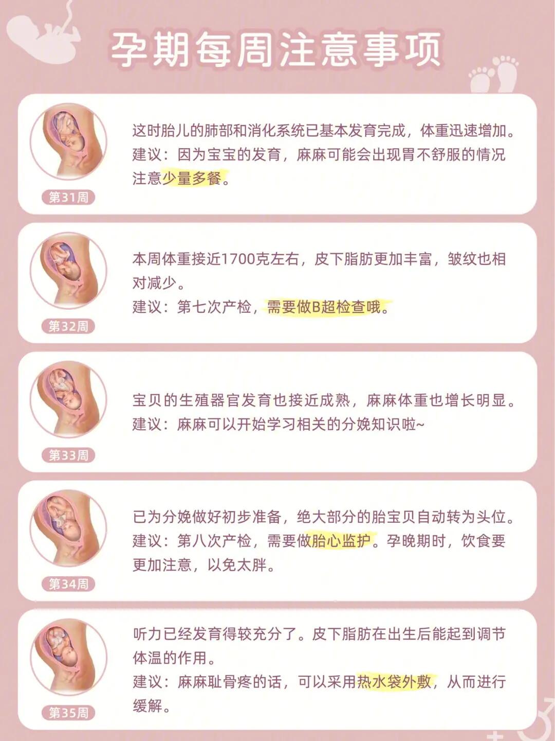 日孕妇孕期营养指南，健康饮食建议，胎儿发育关键期注意事项