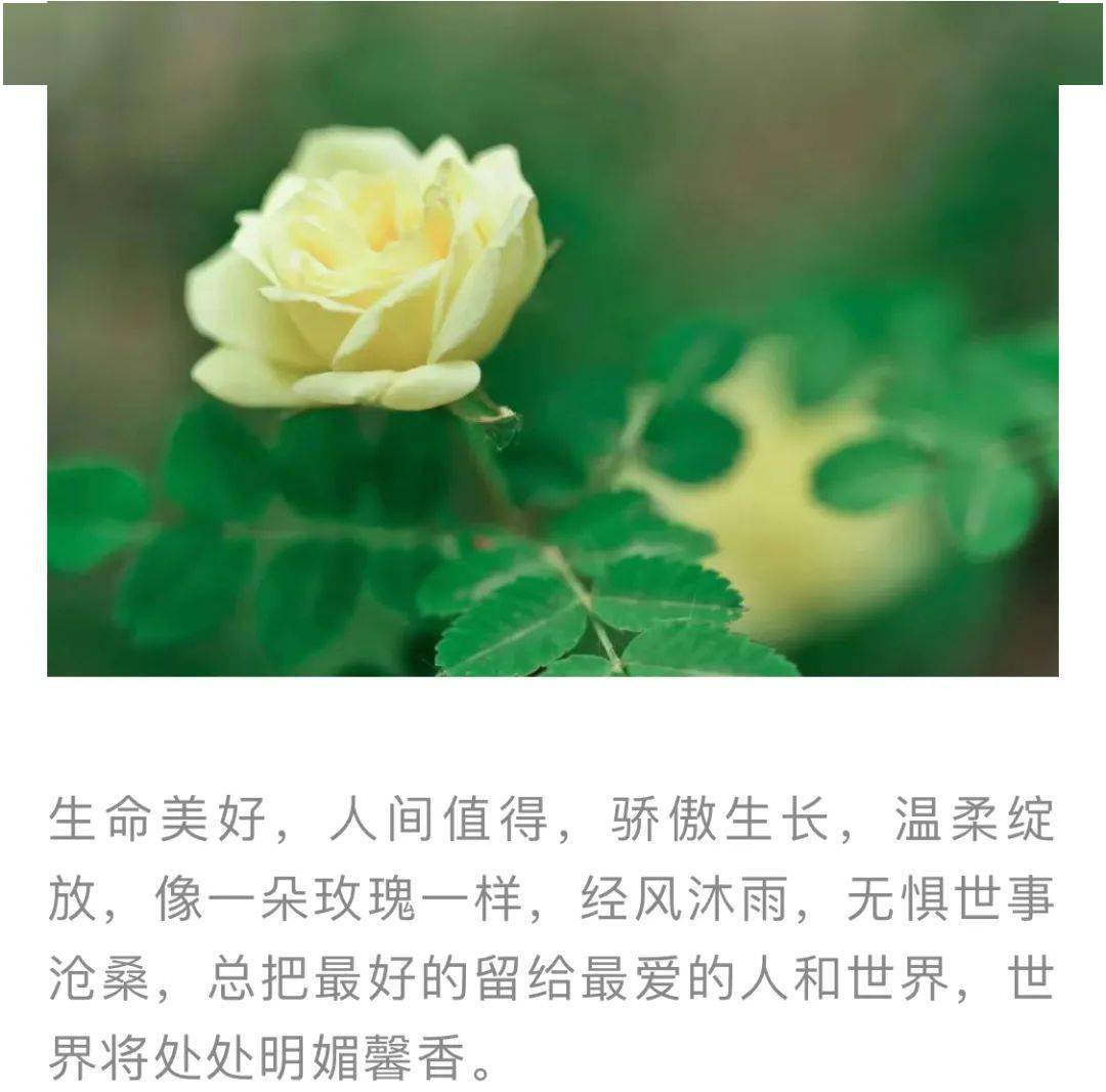 美女爱生活更精彩，自信优雅绽放魅力，温柔善良打动人心