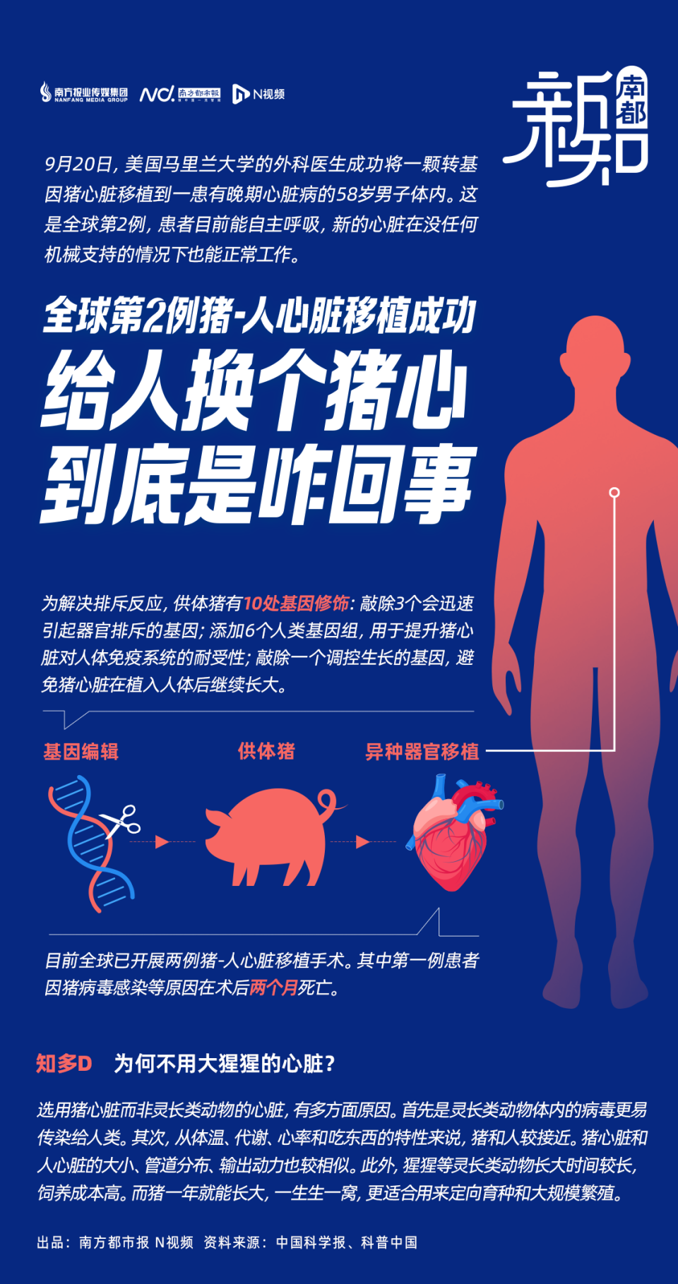 国产又爽又黄免费怀孕浜引发热议，探讨其背后伦理争议，观众评价两极分化